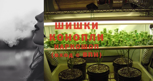 прущие крисы Арсеньев